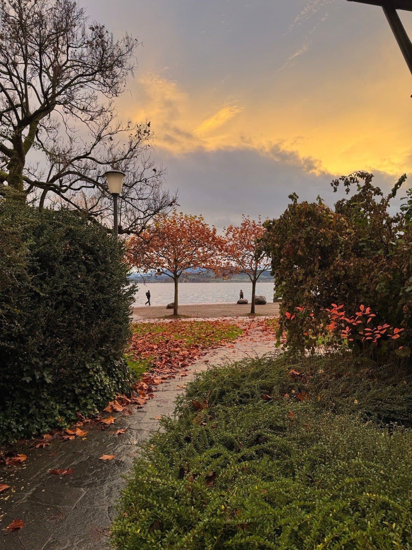 Herbstweg am Zugersee